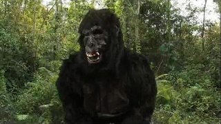 ���ాజు Dong&amp;#039;s 40oz బౌన్స్!