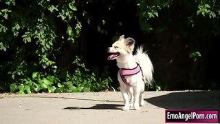 ���ត្តិសាទារកនរកឃើញឆ្កែរបស់នាងទៅនាងជិតខាងបានទ្រព្យ។របស់នាងអ្នកជិតខារចង់រង្វាន់មួយ,ពួកគេយករបស់ពួម្លៀកបំពាក់និងបន្ទាប់មកនា throats ជិតខាង bigcock។នៅក្នុងលត្រឡប់របស់នាងជិតខាង fucks របស់នាង pussy និងលាយជ្រៅនិងរឹងរហូតដល់គាត់បាន cums លើរបស់នាង។