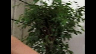 Metro - Lesbian Ngesondo - icandelo lomboniso 8 - khupha 2